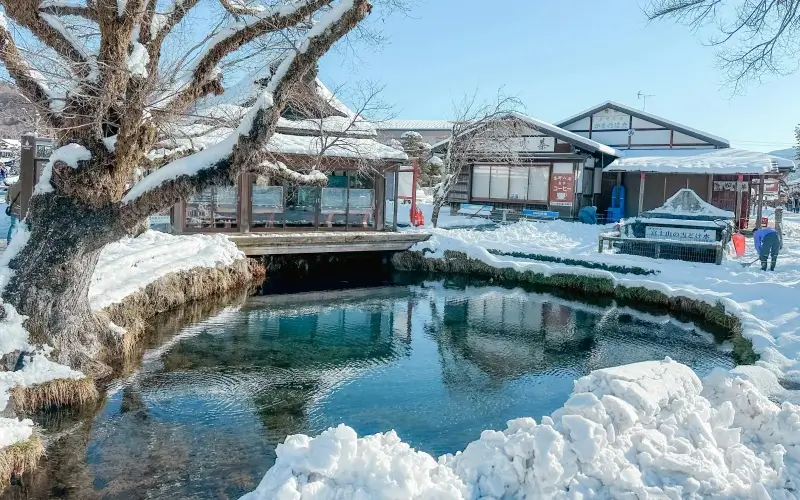 winter 1